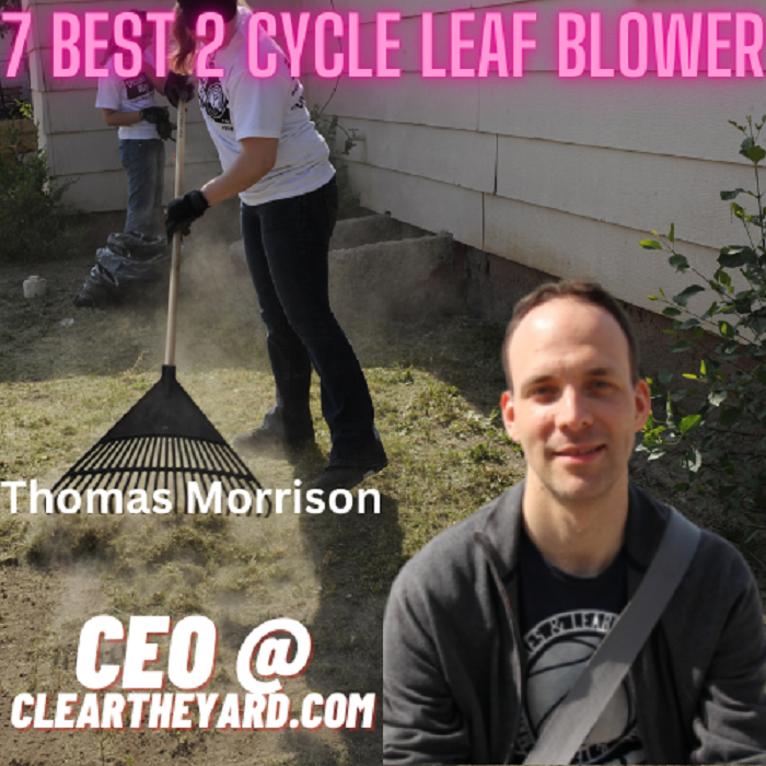 Best 2 cycle leaf blower
